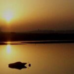 The Colors of Ria Formosa: Sunset Boat Trip in Faro - FAQ