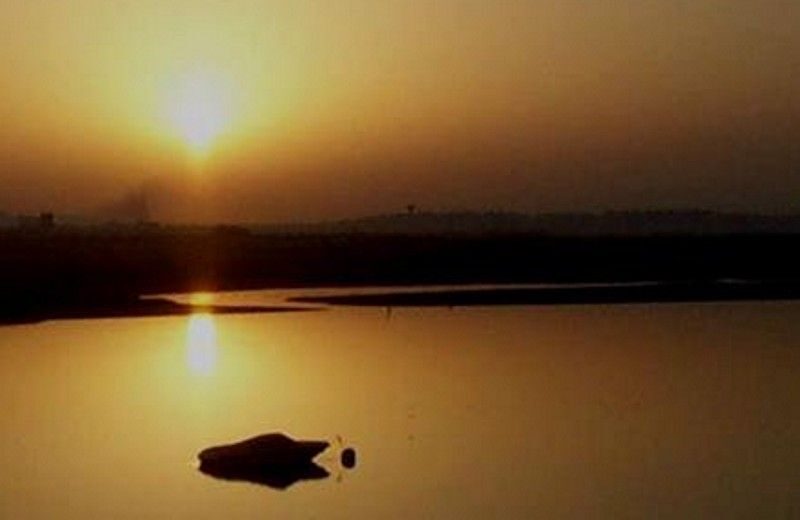 The Colors of Ria Formosa: Sunset Boat Trip in Faro - FAQ