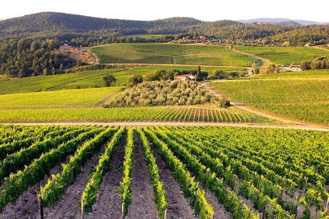 The Complete Wine Tour Brunello, Nobile, Chianti wine experience - Analyzing the Value and Suitability