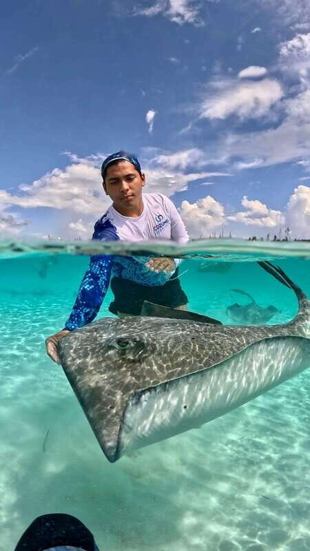 The Cozumel Turtle Sanctuary Snorkel Tour - FAQ