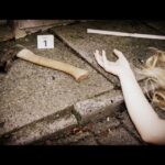 The Dark Side of Bremen: Killers and Criminals - A Closer Look at the Dark Side of Bremen Tour