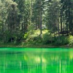 The Enchanting Green Lake: Private Tour in the Austrian Alps - Why This Tour Offers Great Value