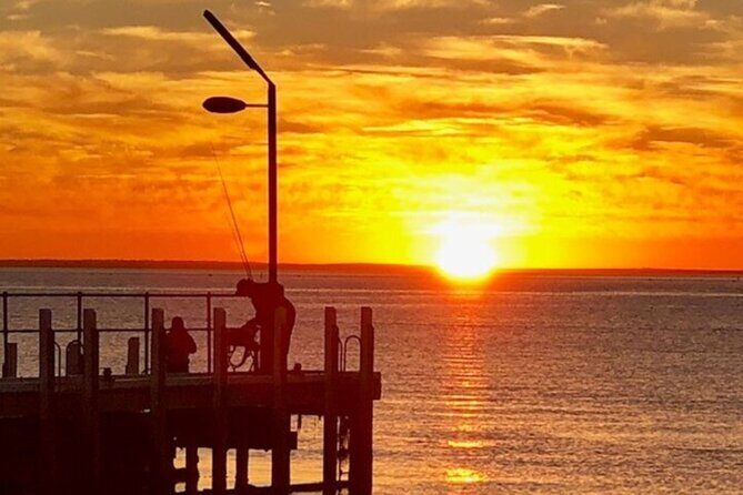 The Explorer - Cranbourne Gardens - Practical Tips for Visitors