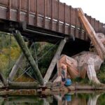 The Forgotten Giants Private Tour - Why This Tour Delivers Real Value