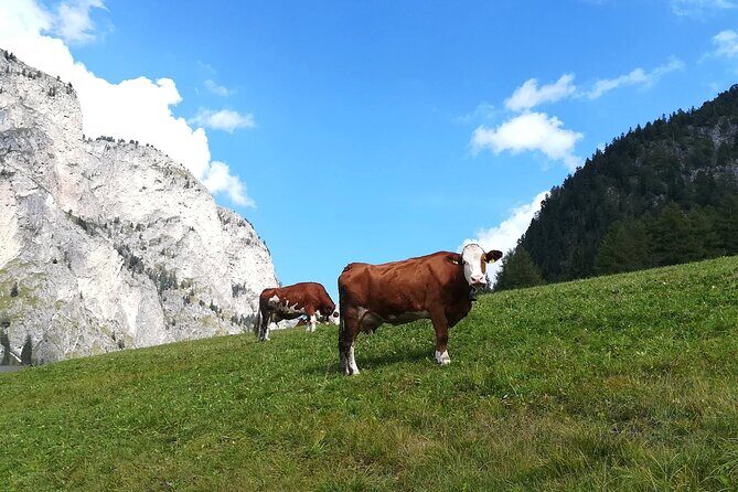 The Grand Dolomites Tour from Lake Garda - Why This Tour Is a Great Value