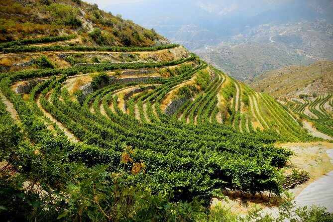 The Grape Escape: Troodos Mountains thru Wine Small Group Tour 7hrs - Who Would Love This Tour?