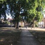 The Great Plague & Black Death Tour of London - Why This Tour Is Worth It