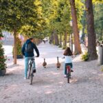 The Hague: Highlights Bike Tour - Why This Tour Is a Great Choice