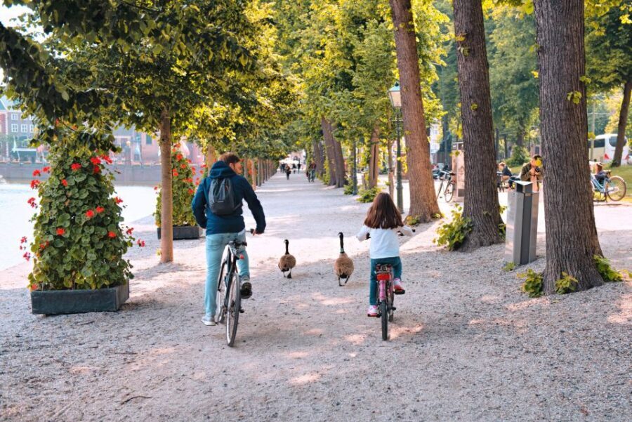 The Hague: Highlights Bike Tour - Why This Tour Is a Great Choice
