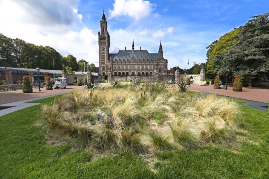 The Hague Private Walking Tour - Who Should Book This Tour?