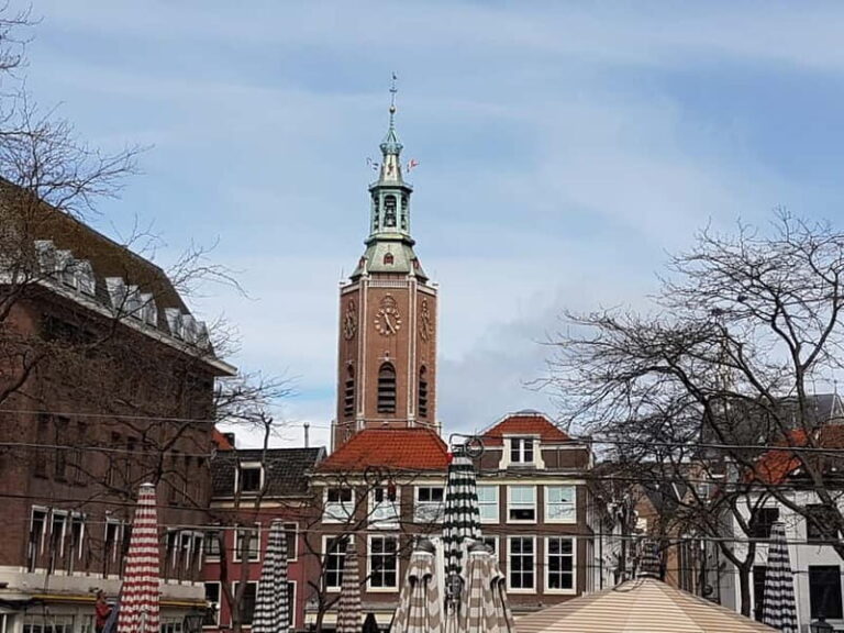 The Hague: The Hague Tower climb Guided Tour - Whats Included and What Not