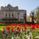The influence of Bergen in Norways development, city tour - Final Thoughts: Who’s This Tour For?