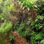 The Lakes Walk - The Value of This Tour