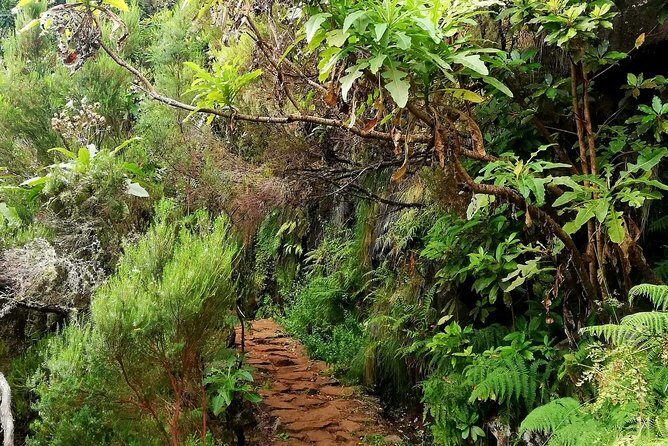 The Lakes Walk - The Value of This Tour