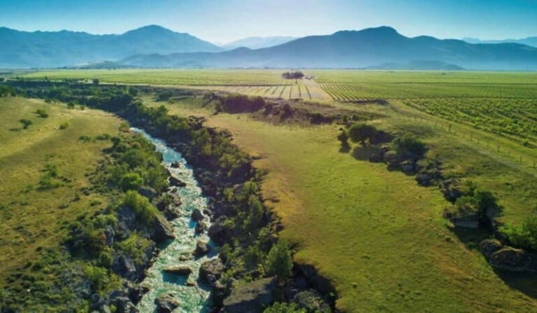 The largest winery in Montenegro: private tour & transport - Exploring the Montenegrin Winery: A Deep Dive