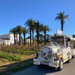 The Little Train of La Londe-les-Maures - A Closer Look at the Little Train Experience