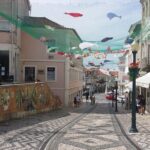 The Little Venice of Portugal: Aveiro Small Group Tour with Typical Boat Ride - What Could Be Better?