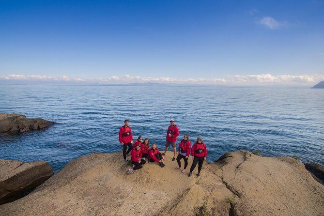 The Maori Carvings Half Day Kayak - Who Should Consider This Tour?