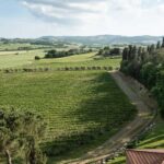 The Memories of the Count - AGED AND SUPERTUSCAN WINE TASTING - Final Thoughts: Why Choose This Experience?