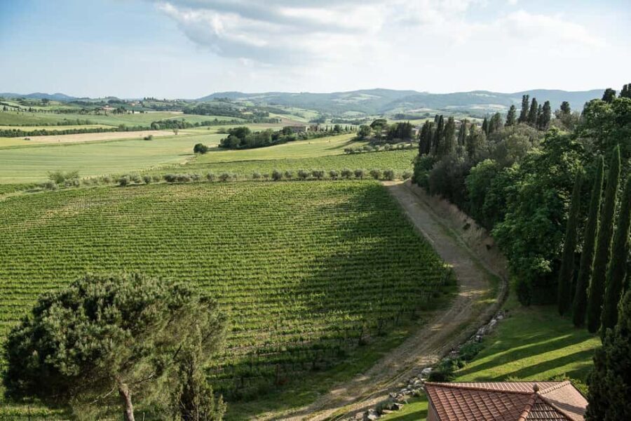 The Memories of the Count - AGED AND SUPERTUSCAN WINE TASTING - Final Thoughts: Why Choose This Experience?