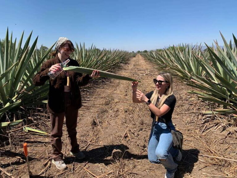 The Mezcal Journey - Why This Tour Is a Great Choice