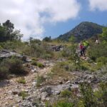 The morning Hike - The Sum Up