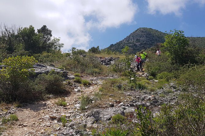The morning Hike - The Sum Up