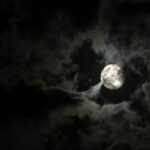 The New Orleans Darkness Tour - The Real Value of the Tour