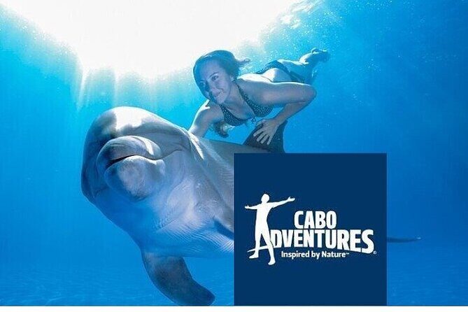 The only Natural Space Dolphin Encounter in Cabo Optional Pickup! - The Sum Up