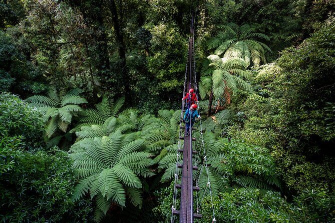 The Original Canopy Zipline Experience Private Tour From Auckland - Final Thoughts: Is This Tour Worth It?
