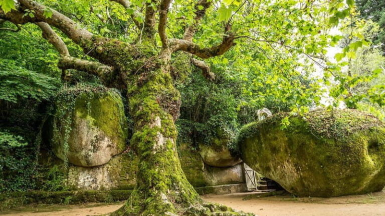 The Other Side of Sintra - Forgotten Woods Tour - Exploring Sintra’s Hidden Corners: A Complete Review