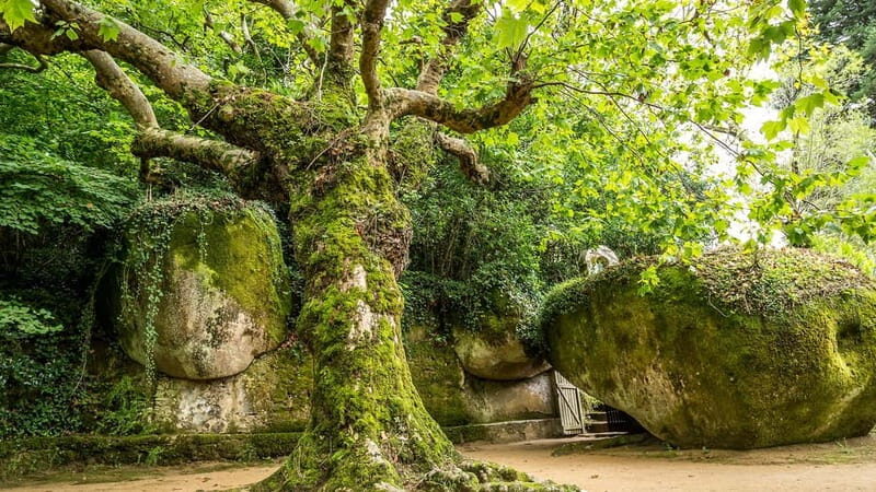 The Other Side of Sintra - Forgotten Woods Tour - Exploring Sintra’s Hidden Corners: A Complete Review