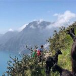 The Path of The Gods Private Guided Hike with Transfer - An In-Depth Look at the Path of the Gods Guided Tour