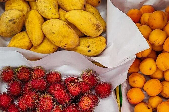The Real Mexican Street Food Bike Ride/Roma-Condesa/All-Inclusive - Exploring Mexico City on Two Wheels and Tasting Bites