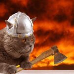 The Reykjavik Cat Walking Tour - Authentic Experiences and Hidden Gems