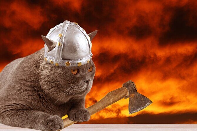 The Reykjavik Cat Walking Tour - Authentic Experiences and Hidden Gems