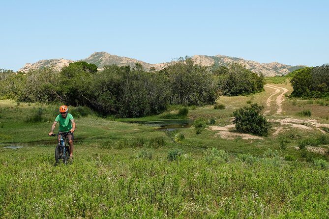 The ring of Mountain Tuttavista with Electric Mountain Bikes - Detailed Review of the Tuttavista Mountain Bike Tour