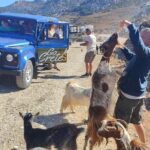 The Roads Of Wine Olive Oil And Cretan Tradition in Malia - What Makes This Tour Stand Out?