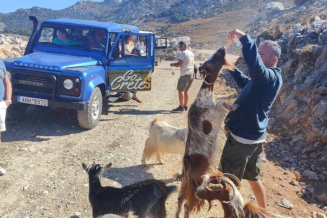 The Roads Of Wine Olive Oil And Cretan Tradition in Malia - What Makes This Tour Stand Out?