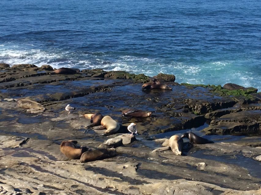 The San Diego Highlights Tour - Who Will Love This Tour?