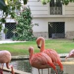 The Secret Milan  An Exclusive Stroll Beyond the Beaten Path - What’s Included and What’s Not