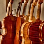 The Secret of Stradivari in Cremona: visit the Violinmaker School - A Closer Look at the Experience: What to Expect