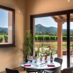The Selections: visit and tasting in the Bolgheri Doc region - A Deep Dive into the Bolgheri Experience at Tenuta Di Vaira