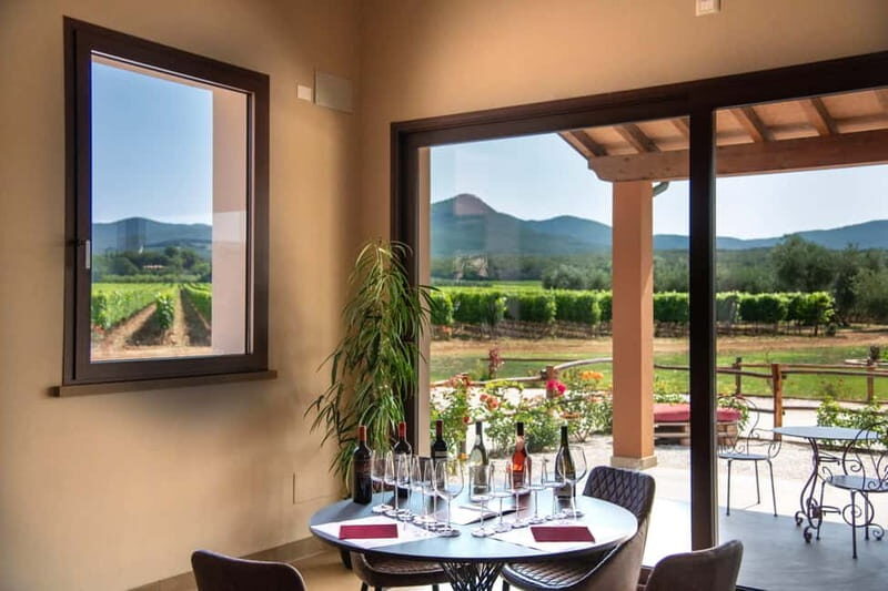 The Selections: visit and tasting in the Bolgheri Doc region - A Deep Dive into the Bolgheri Experience at Tenuta Di Vaira