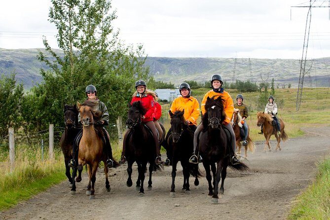 The Siggi Tour from Reykjavík: 1.5 to 2-Hour Ride - The Siggi Tour from Reykjavík: 1.5 to 2-Hour Ride