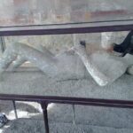 the splendour of Pompeii ruins with pompeii guide - Who This Tour Is Best For