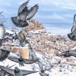 The stunning underground city and panoramas of Cappadocia - Who Will Love This Tour?
