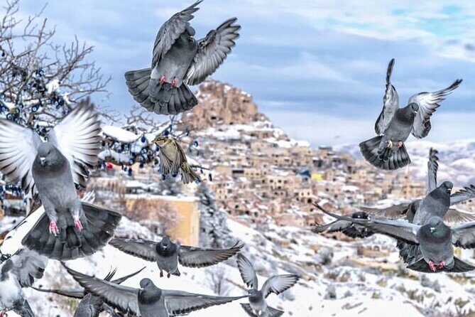The stunning underground city and panoramas of Cappadocia - Who Will Love This Tour?