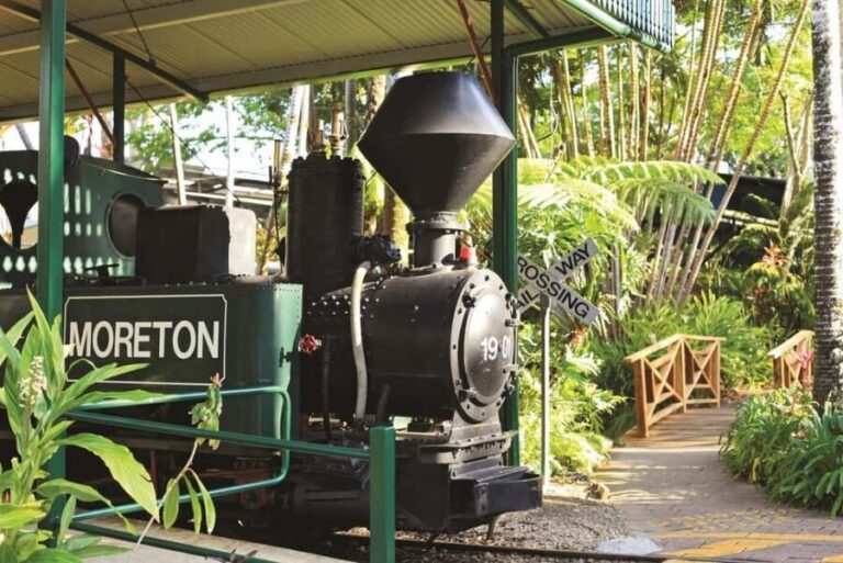 The Sunshine Coast: The Ginger Factory Play All Day - Practical Tips for Visitors