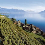 The Swiss Riviera Experience  Exclusive Private Tour - Who Would Love This Tour?